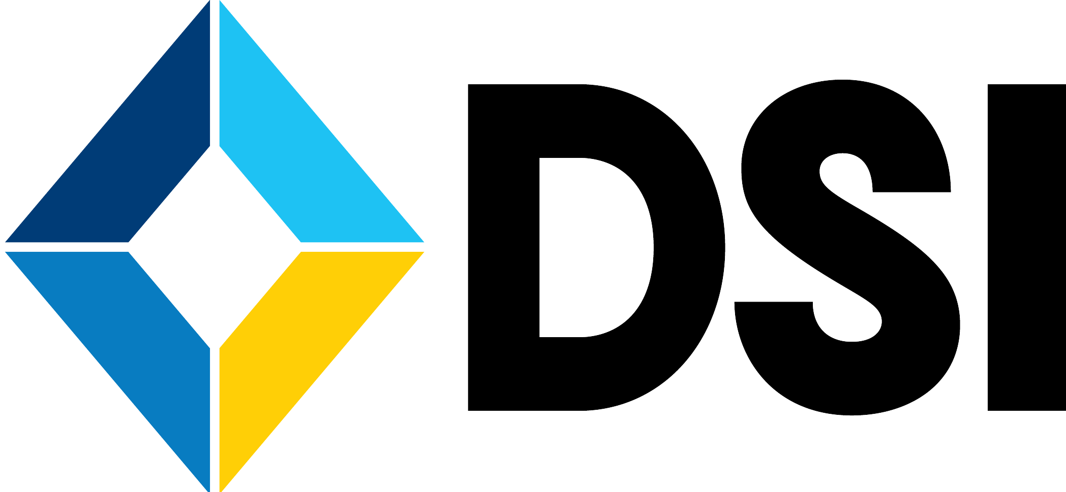 DSI Systems Inc. Logo