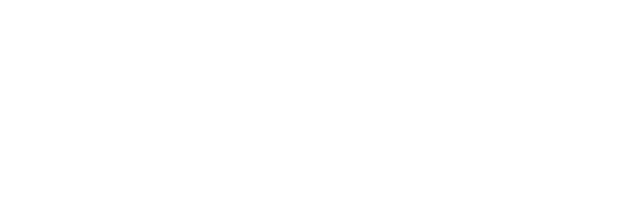 Fidium Logo